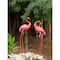 33" Bright Standing Flamingo Looking Back
